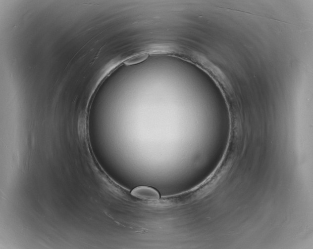 X0000116131473200911301337