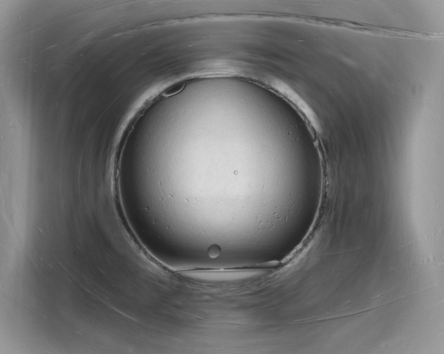 X0000116131477200911301337
