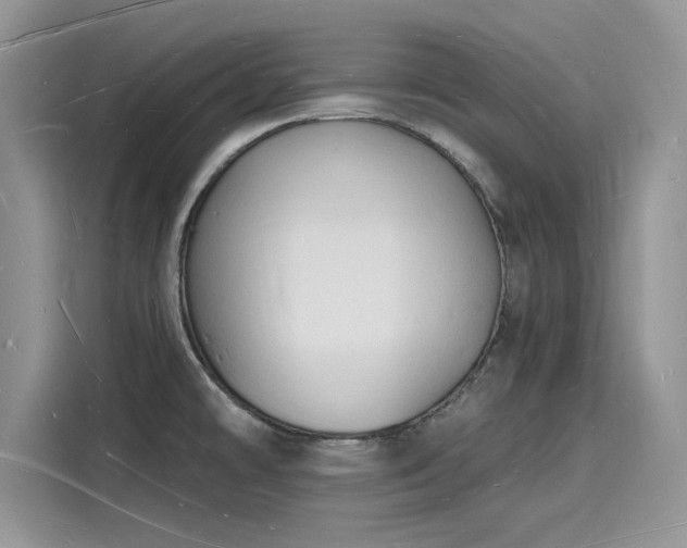 X0000116131478200911301337