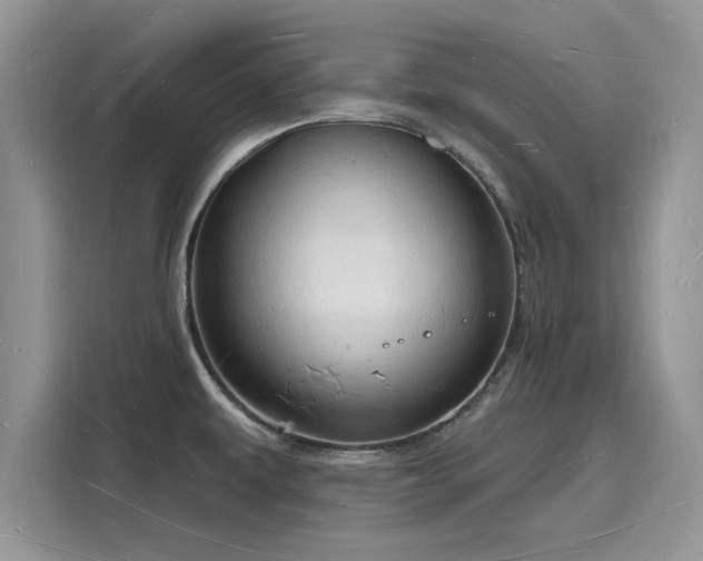 X0000116131479200911301337