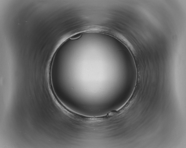X0000116131483200911301337