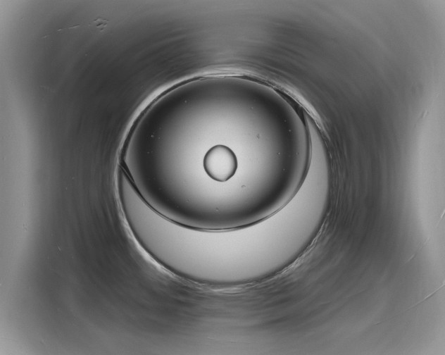 X0000116131484200911301337