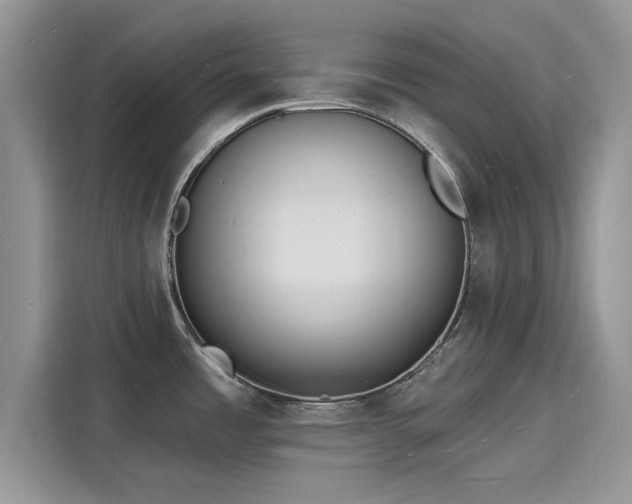 X0000116131485200911301337