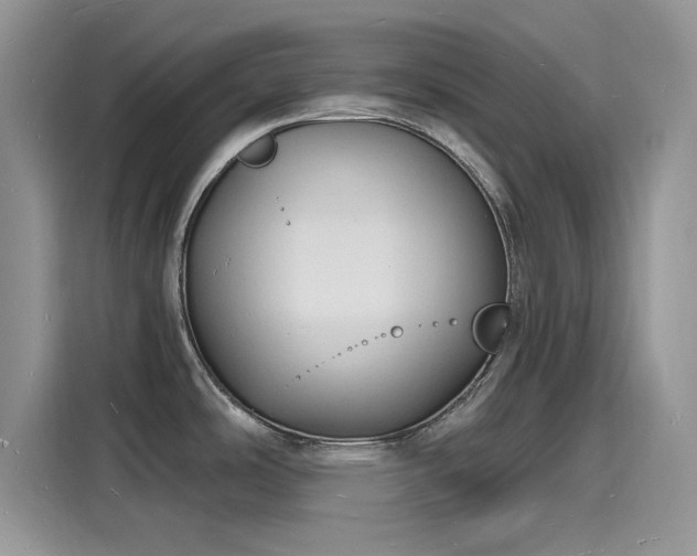 X0000116131486200911301337