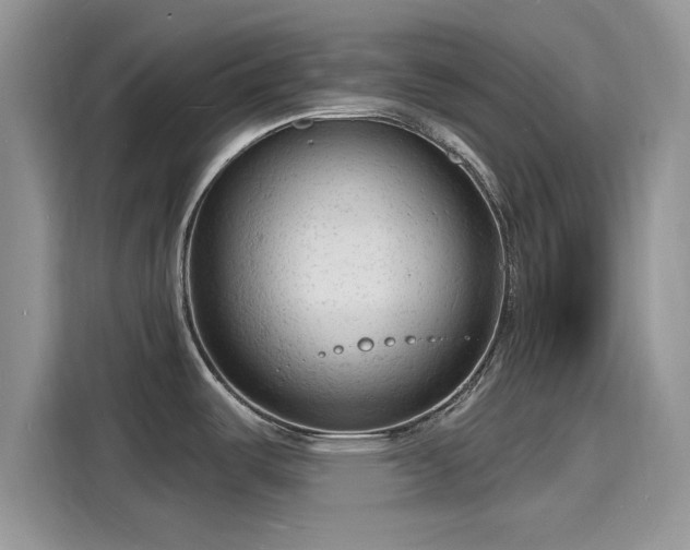 X0000116131487200911301337