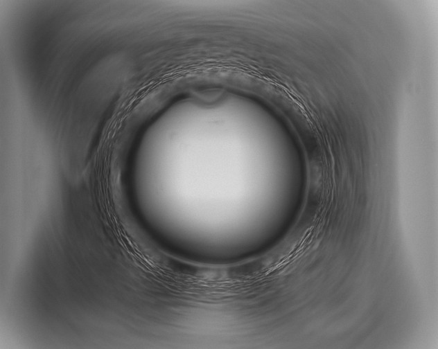 X0000116131489200911301336