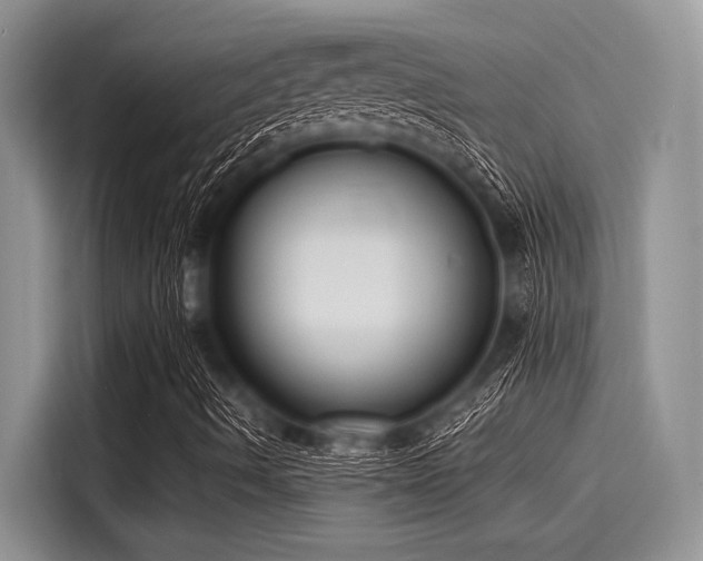 X0000116131490200911301336