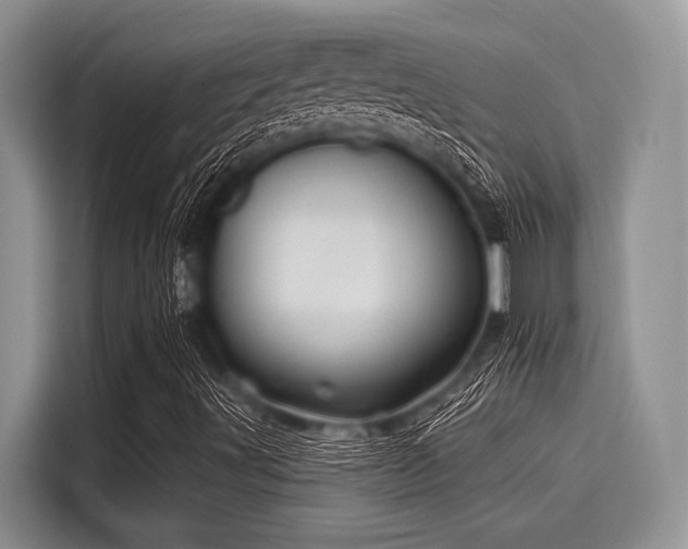 X0000116131491200911301336