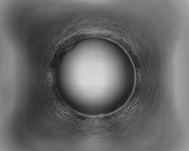 X0000116131493200911301336
