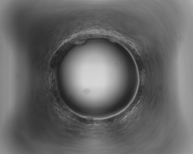 X0000116131494200911301336