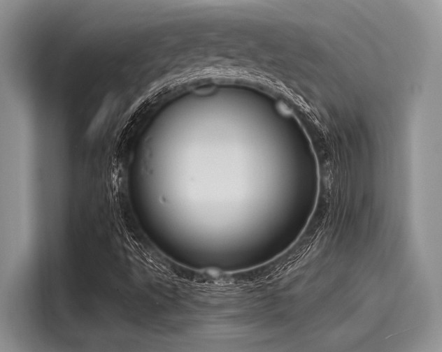 X0000116131495200911301336