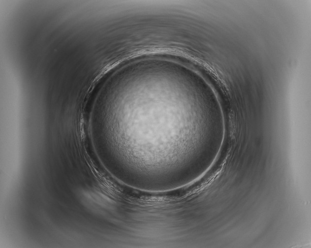 X0000116131497200911301336