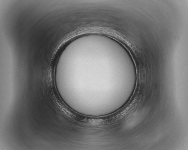 X0000116131498200911301336