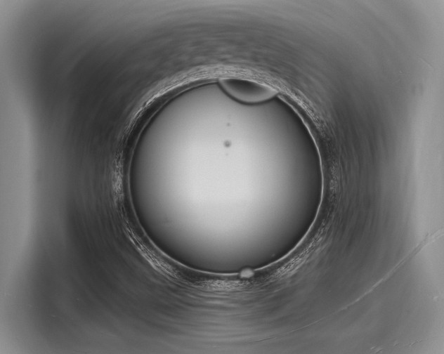 X0000116131499200911301336