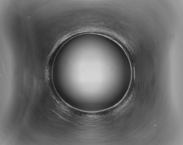 X0000116131501200911301336