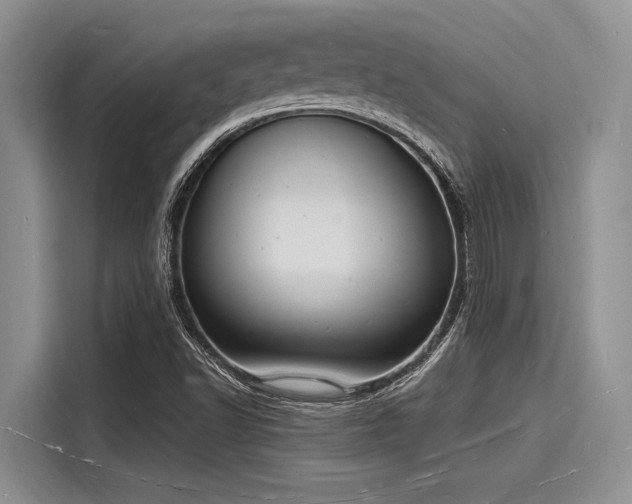 X0000116131502200911301336