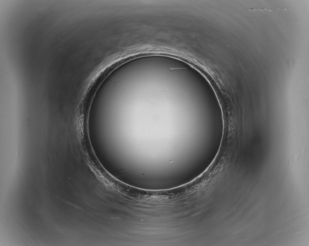X0000116131503200911301336