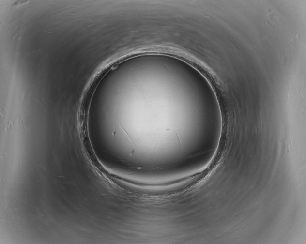 X0000116131506200911301336