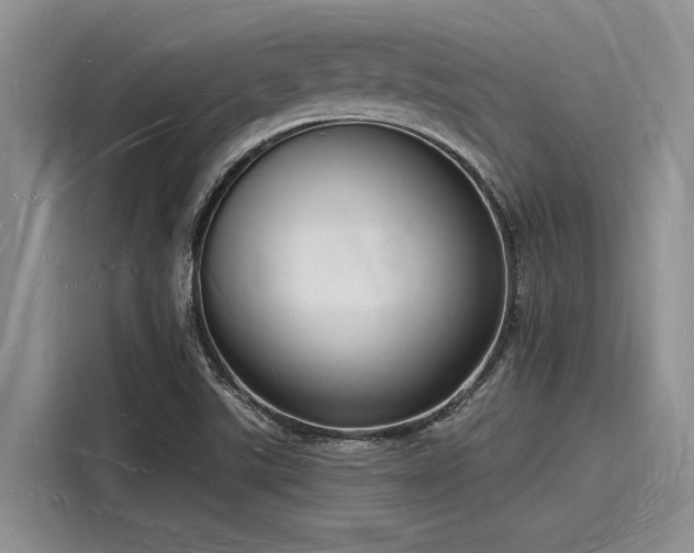 X0000116131507200911301336