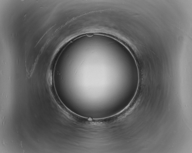X0000116131509200911301336