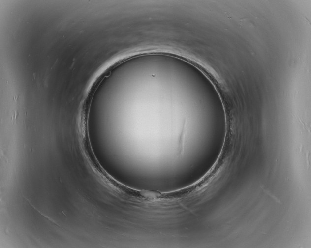 X0000116131510200911301336