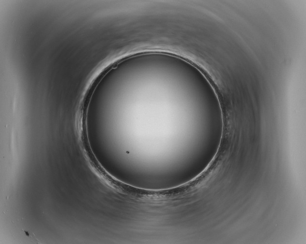 X0000116131511200911301336