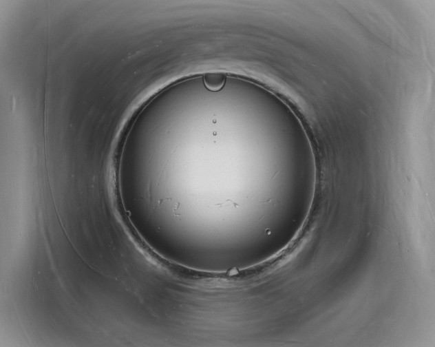 X0000116131517200911301337