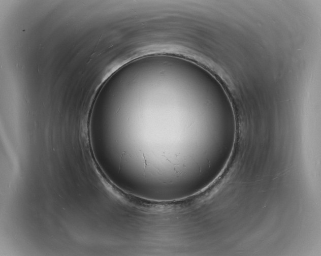 X0000116131521200911301337