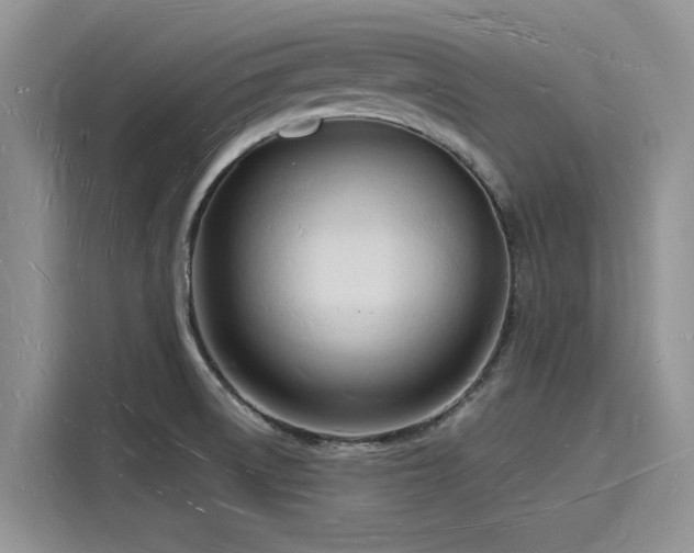 X0000116131522200911301337