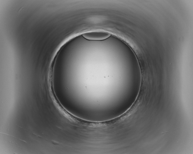 X0000116131526200911301337