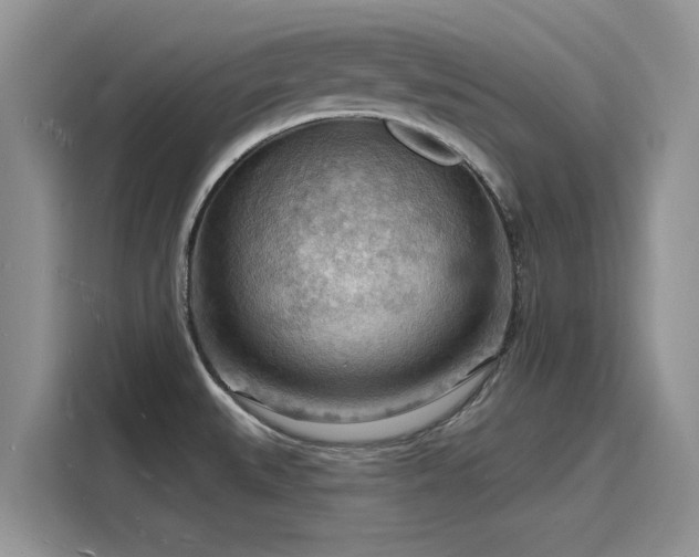 X0000116131527200911301337