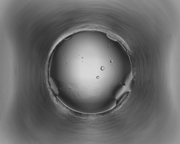 X0000116131530200911301337