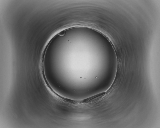 X0000116131531200911301337