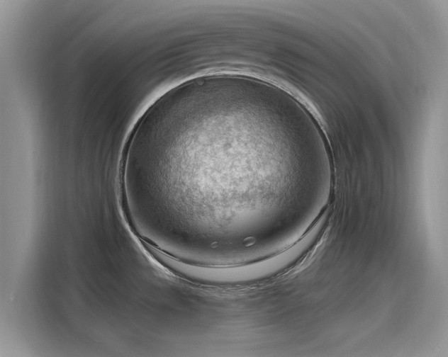 X0000116131533200911301337