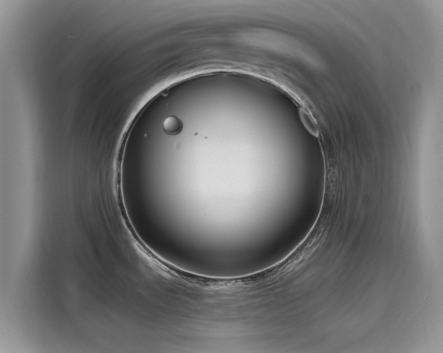 X0000116131535200911301337