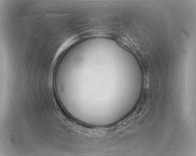 X0000116130004200912071232