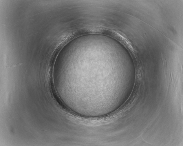 X0000116130018200912071232