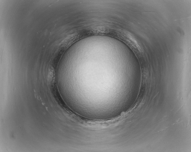 X0000116130029200912071231