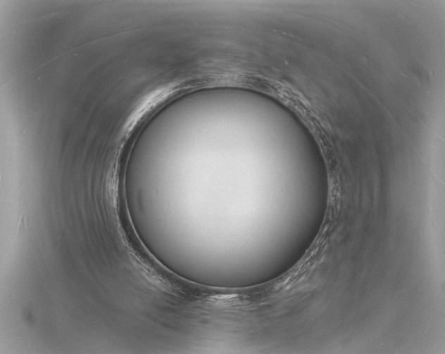 X0000116130054200912071231