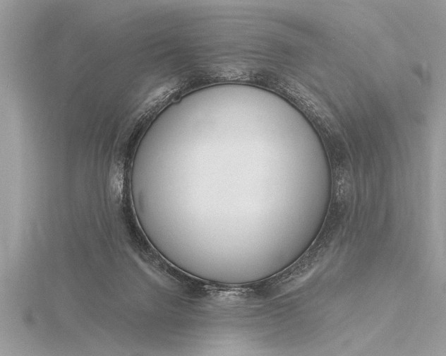 X0000116130072200912071231