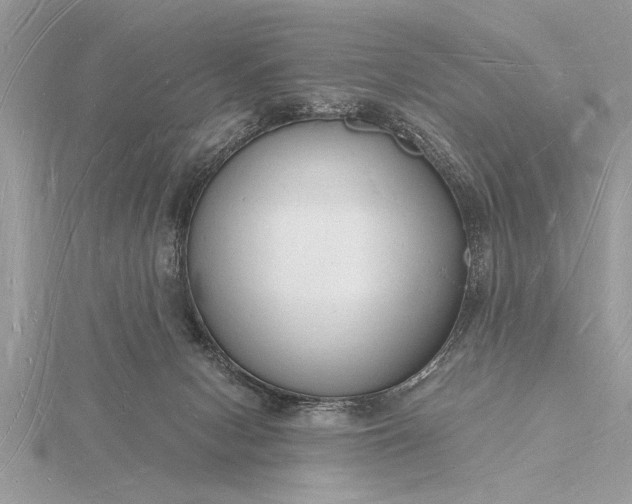 X0000116130078200912071231