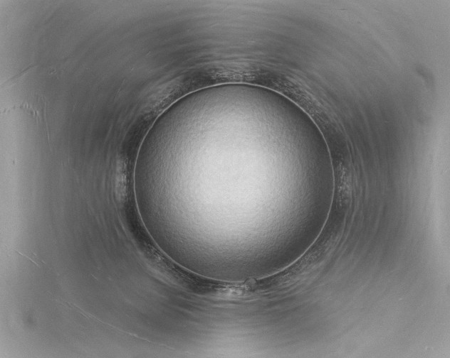 X0000116130080200912071231