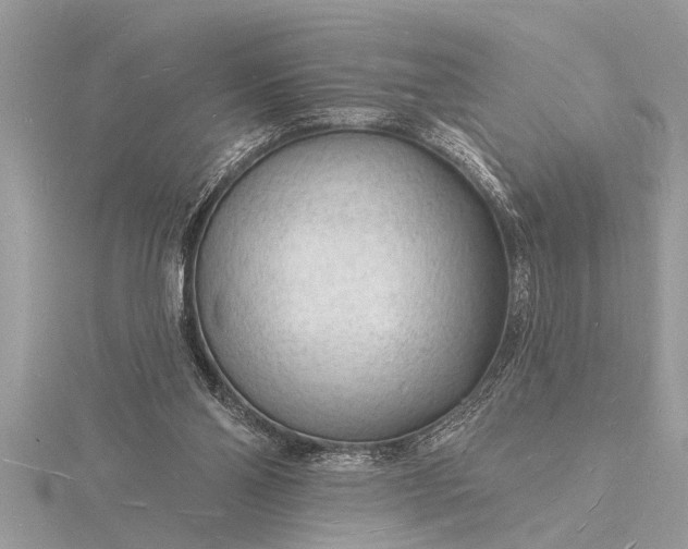 X0000116130110200912071230