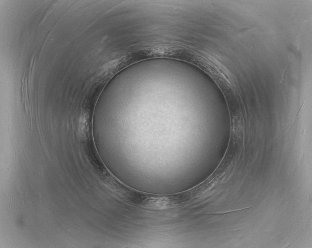X0000116130127200912071230