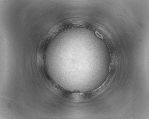 X0000116130136200912071230