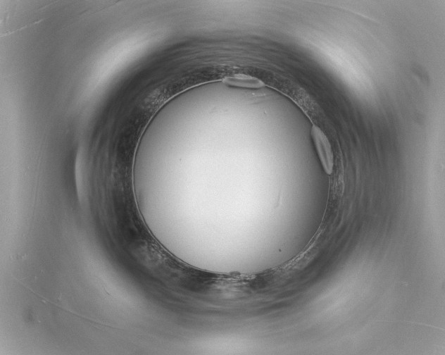 X0000116130140200912071230