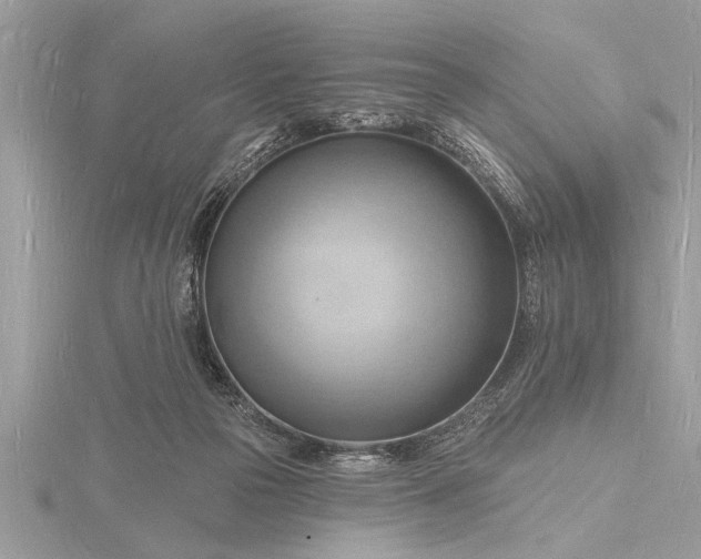 X0000116130169200912071230