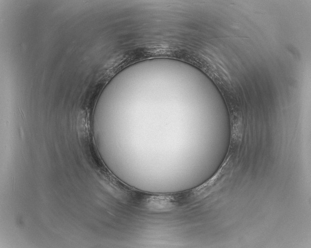 X0000116130179200912071230