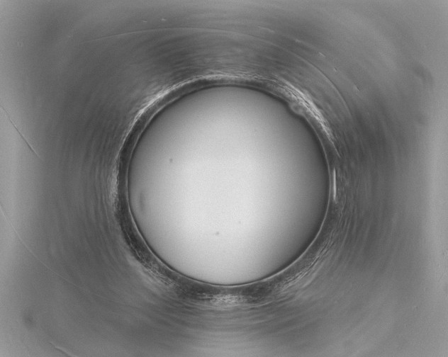 X0000116130204200912071229