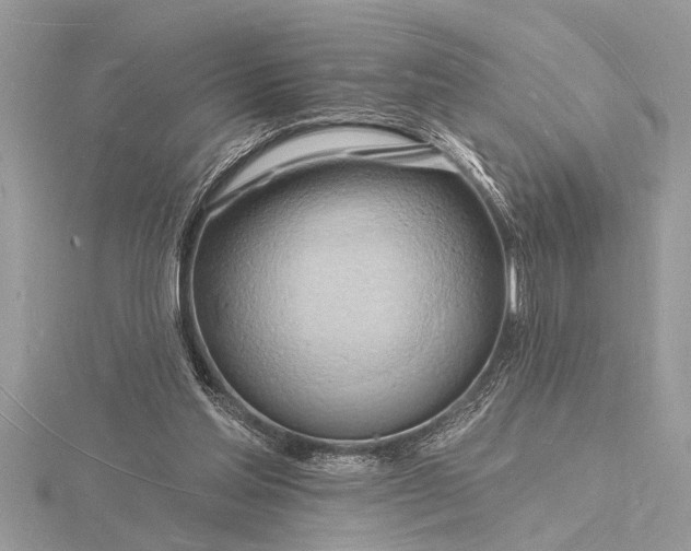 X0000116130205200912071229